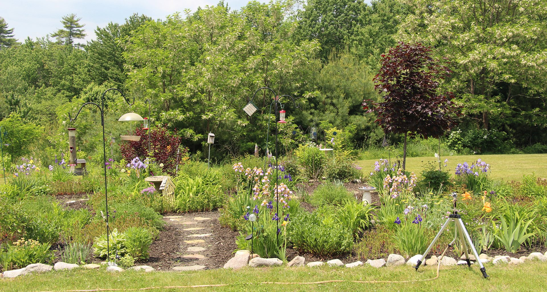 Elwell Farms Apartments in Buxton, ME